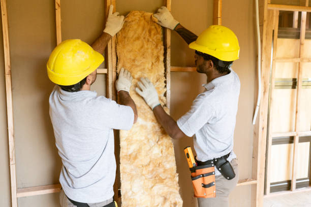 Best Blown-In Insulation in USA